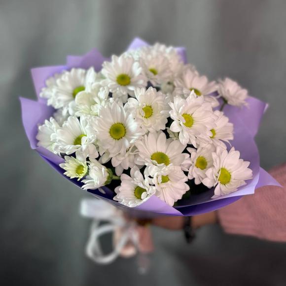 Моно букет хризантема ромашка | Хризантема кустовая 3 шт