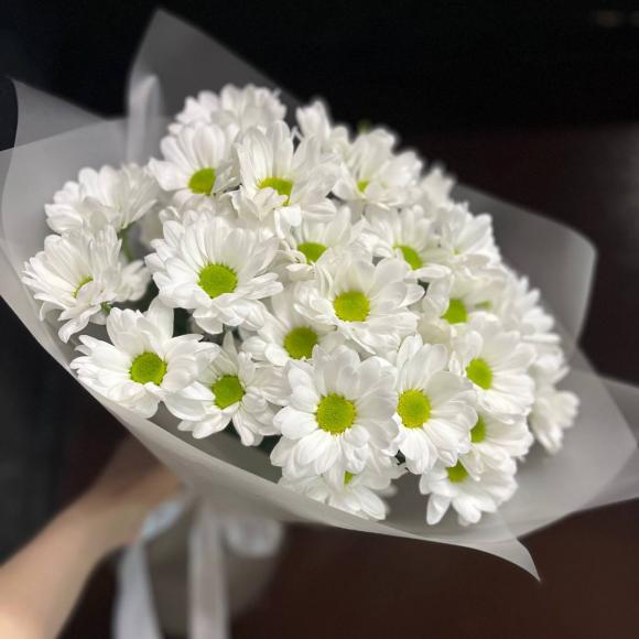 Моно букет хризантема ромашка |  кустовая хризантема 5 шт