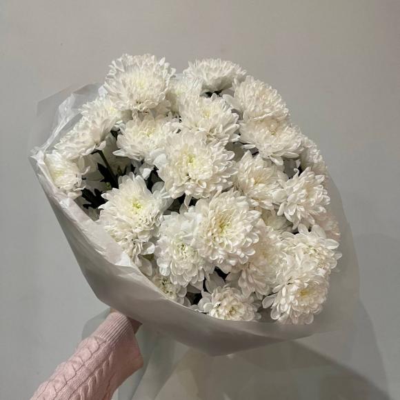 Облако хризантемы