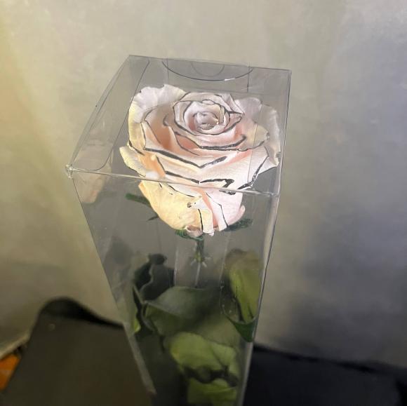 Вечная роза