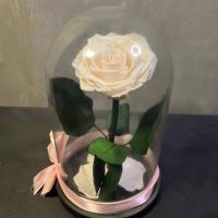 Роза в колбе | Вечная роза