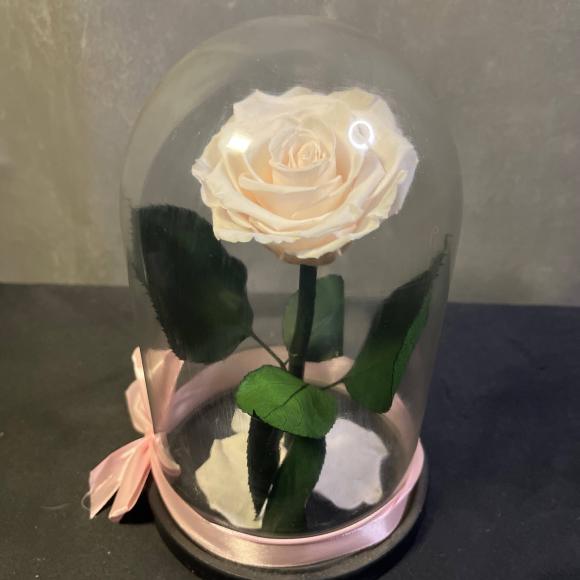 Роза в колбе | Вечная роза