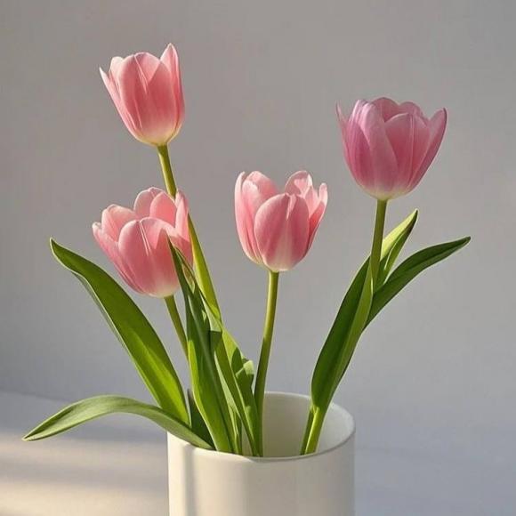 Тюльпаны микс